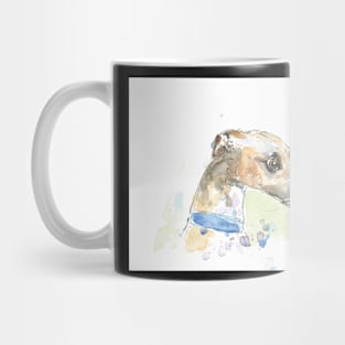 Pretty hound portrait. Mug